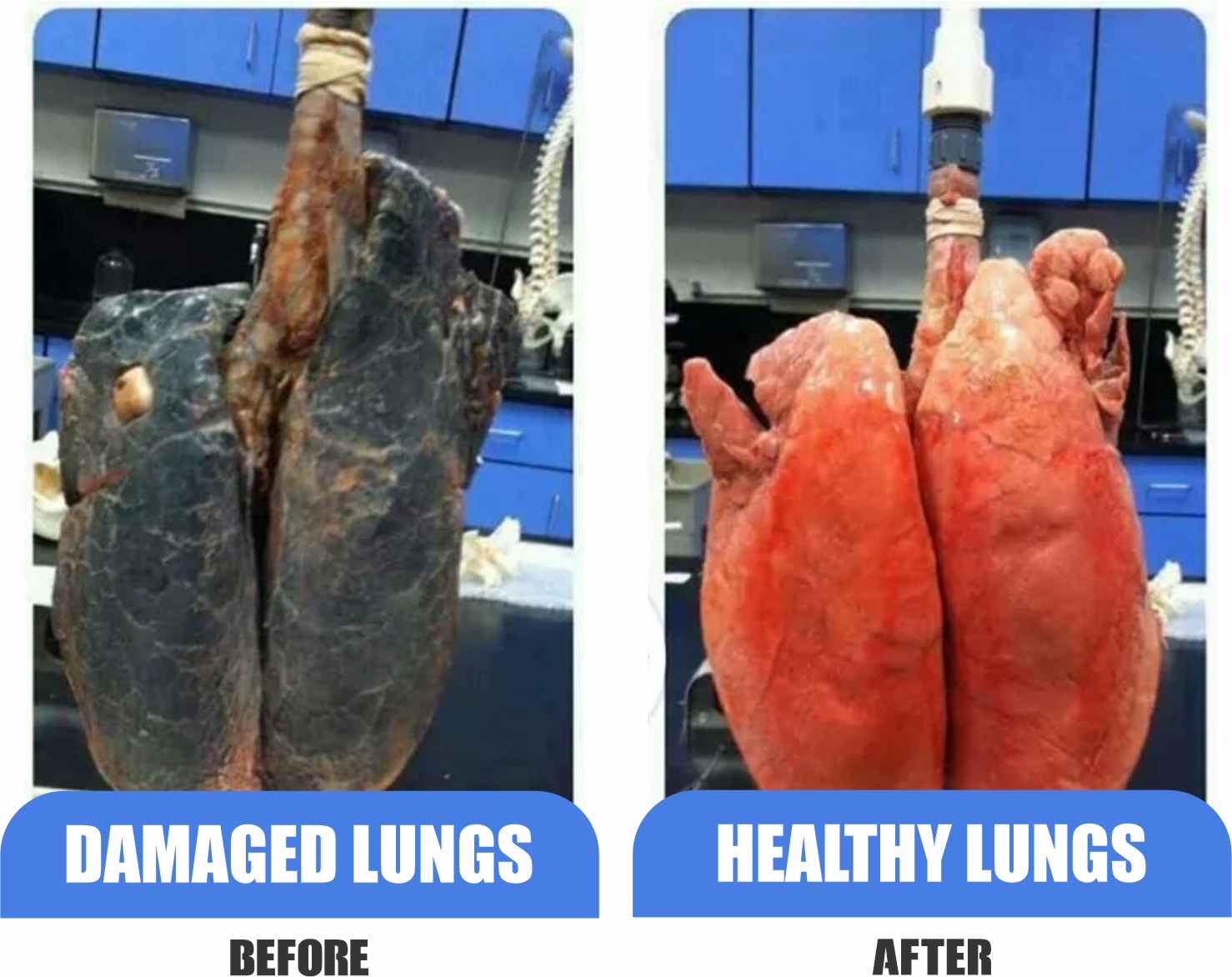 healthy