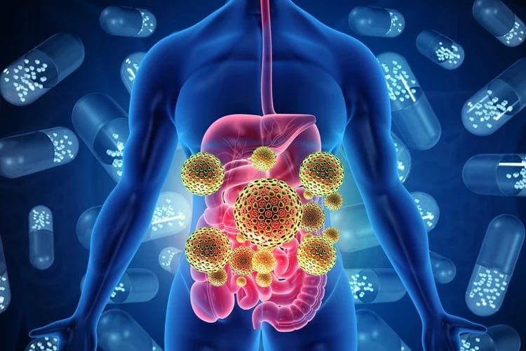 toxins_gut